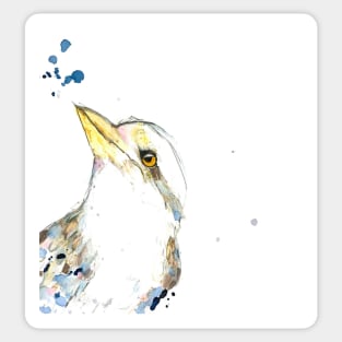 One Kookaburra. Sticker